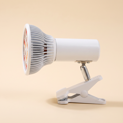 rodljus lampa Evigat